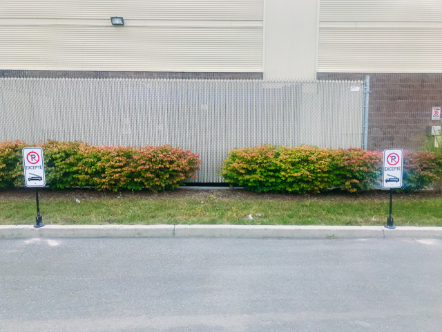 Balise de stationnement flexible - Centre commercial Rivière-du-Loup