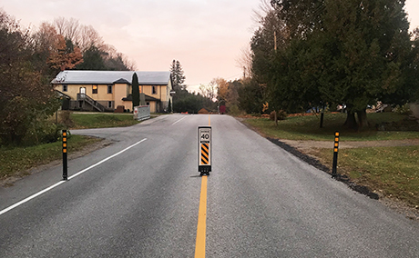 Traffic calming  with signs and bollards in a township country road